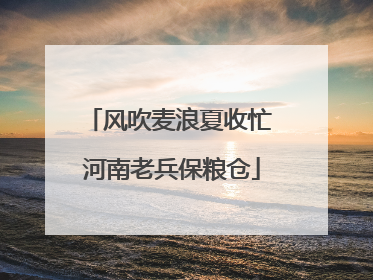 风吹麦浪夏收忙 河南老兵保粮仓