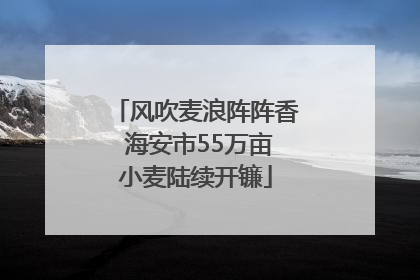 风吹麦浪阵阵香 海安市55万亩小麦陆续开镰