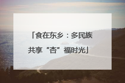食在东乡：多民族共享“杏”福时光