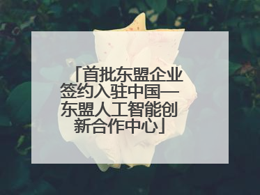 首批东盟企业签约入驻中国—东盟人工智能创新合作中心
