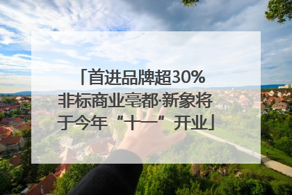 首进品牌超30% 非标商业亳都·新象将于今年“十一”开业