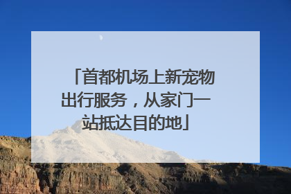 首都机场上新宠物出行服务，从家门一站抵达目的地