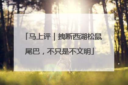 马上评｜拽断西湖松鼠尾巴，不只是不文明