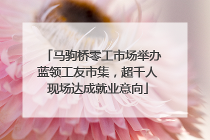 马驹桥零工市场举办蓝领工友市集，超千人现场达成就业意向