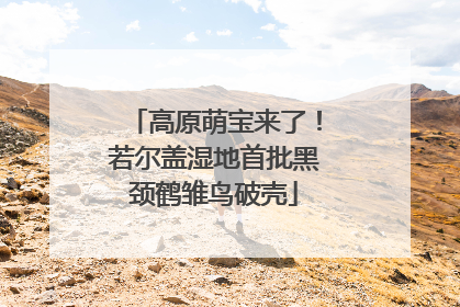 高原萌宝来了！若尔盖湿地首批黑颈鹤雏鸟破壳