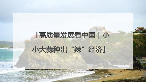 高质量发展看中国｜小小大蒜种出“辣”经济