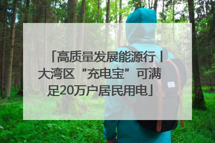 高质量发展能源行丨大湾区“充电宝”可满足20万户居民用电
