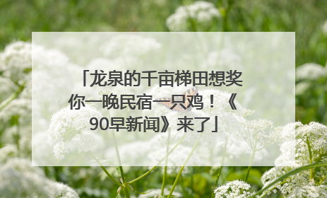 龙泉的千亩梯田想奖你一晚民宿一只鸡！《90早新闻》来了
