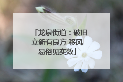 龙泉街道：破旧立新有良方 移风易俗见实效