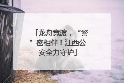 龙舟竞渡，“警”密相伴！江西公安全力守护