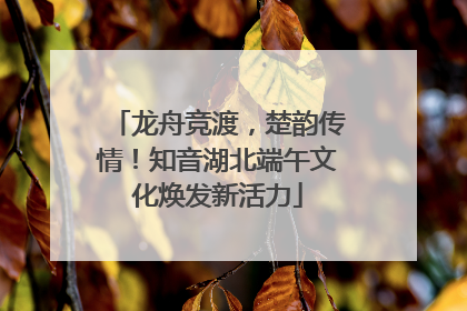 龙舟竞渡，楚韵传情！知音湖北端午文化焕发新活力