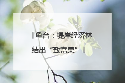 鱼台：堤岸经济林结出“致富果”