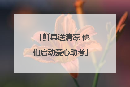 鲜果送清凉 他们启动爱心助考
