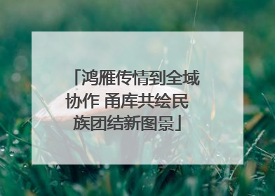 鸿雁传情到全域协作 甬库共绘民族团结新图景
