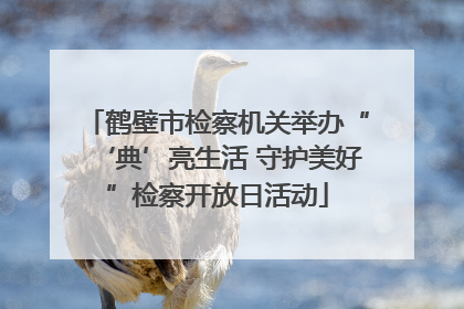 鹤壁市检察机关举办“‘典’亮生活 守护美好”检察开放日活动