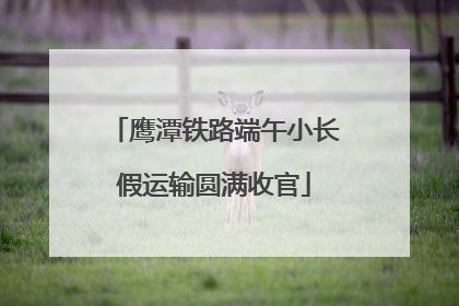 鹰潭铁路端午小长假运输圆满收官