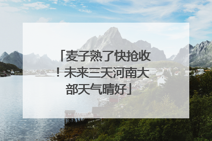麦子熟了快抢收！未来三天河南大部天气晴好