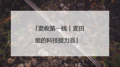 麦收第一线丨麦田里的科技接力赛