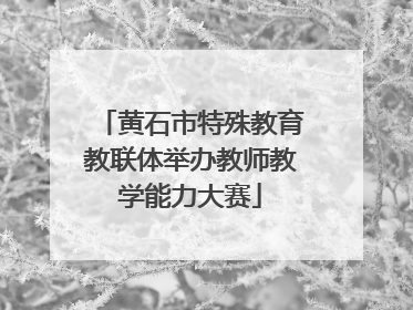 黄石市特殊教育教联体举办教师教学能力大赛