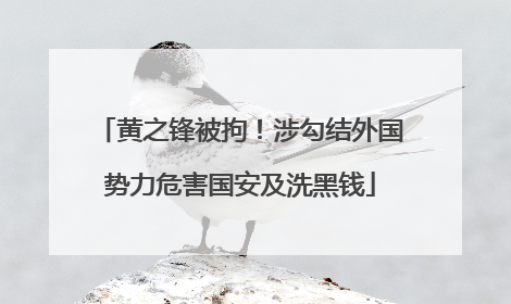 黄之锋被拘！涉勾结外国势力危害国安及洗黑钱