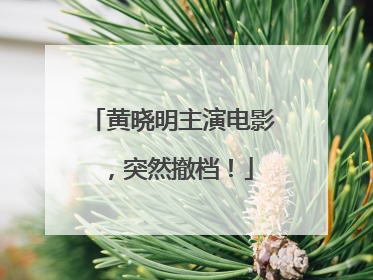 黄晓明主演电影，突然撤档！
