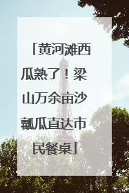 黄河滩西瓜熟了！梁山万余亩沙瓤瓜直达市民餐桌