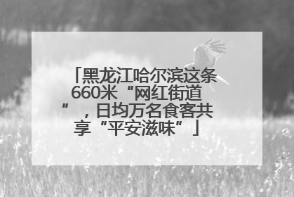 黑龙江哈尔滨这条660米“网红街道”，日均万名食客共享“平安滋味”