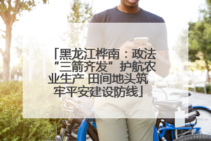 黑龙江桦南：政法“三箭齐发”护航农业生产 田间地头筑牢平安建设防线