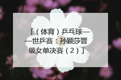 （体育）乒乓球——世乒赛：孙颖莎晋级女单决赛（2）