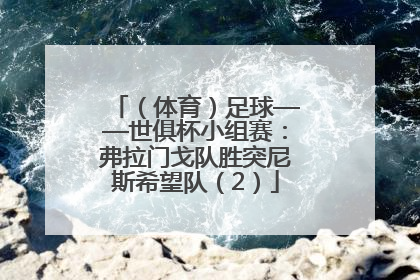 （体育）足球——世俱杯小组赛：弗拉门戈队胜突尼斯希望队（2）
