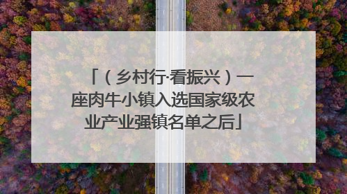 （乡村行·看振兴）一座肉牛小镇入选国家级农业产业强镇名单之后