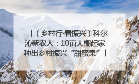 （乡村行·看振兴）科尔沁新农人：10亩大棚起家种出乡村振兴“甜蜜果”