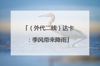 （外代二线）达卡：季风带来降雨
