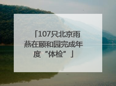 107只北京雨燕在颐和园完成年度“体检”