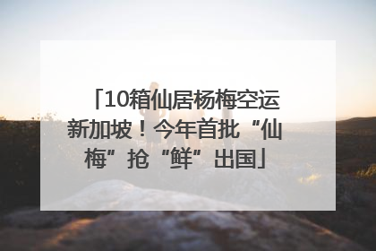 10箱仙居杨梅空运新加坡！今年首批“仙梅”抢“鲜”出国