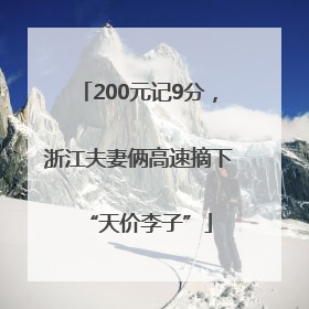 200元记9分，浙江夫妻俩高速摘下“天价李子”