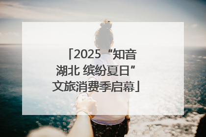 2025“知音湖北 缤纷夏日”文旅消费季启幕