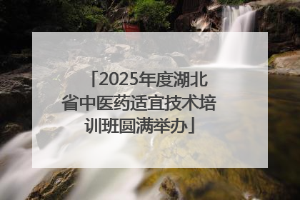 2025年度湖北省中医药适宜技术培训班圆满举办