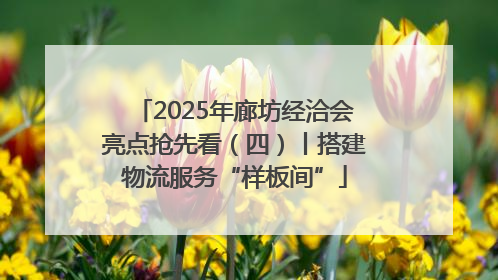 2025年廊坊经洽会亮点抢先看（四）丨搭建物流服务“样板间”