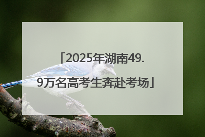 2025年湖南49.9万名高考生奔赴考场