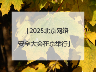 2025北京网络安全大会在京举行