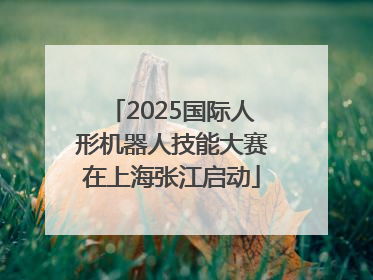 2025国际人形机器人技能大赛在上海张江启动