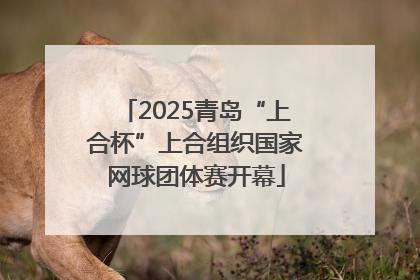 2025青岛“上合杯”上合组织国家网球团体赛开幕