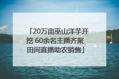 20万亩巫山洋芋开挖 60余名主播齐聚田间直播助农销售