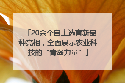 20余个自主选育新品种亮相，全面展示农业科技的“青岛力量”