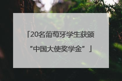 20名葡萄牙学生获颁“中国大使奖学金”