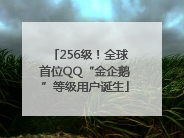 256级！全球首位QQ“金企鹅”等级用户诞生