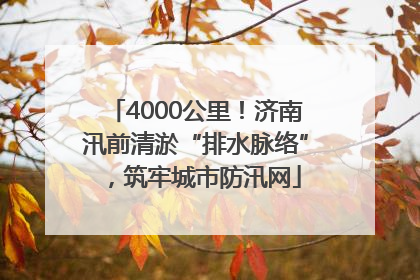 4000公里！济南汛前清淤“排水脉络”，筑牢城市防汛网