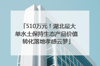 510万元！湖北最大单水土保持生态产品价值转化落地孝感云梦