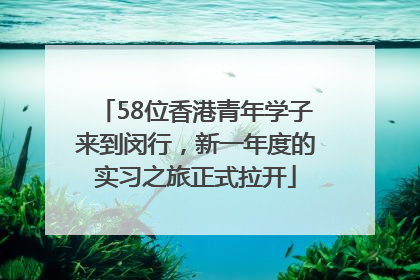 58位香港青年学子来到闵行，新一年度的实习之旅正式拉开
